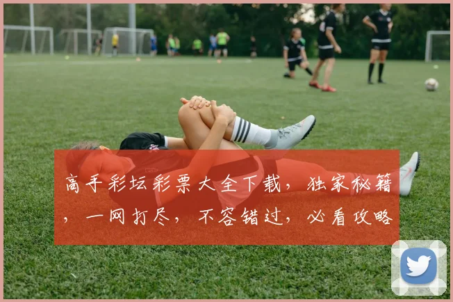高手彩坛彩票大全下载，独家秘籍，一网打尽，不容错过，必看攻略