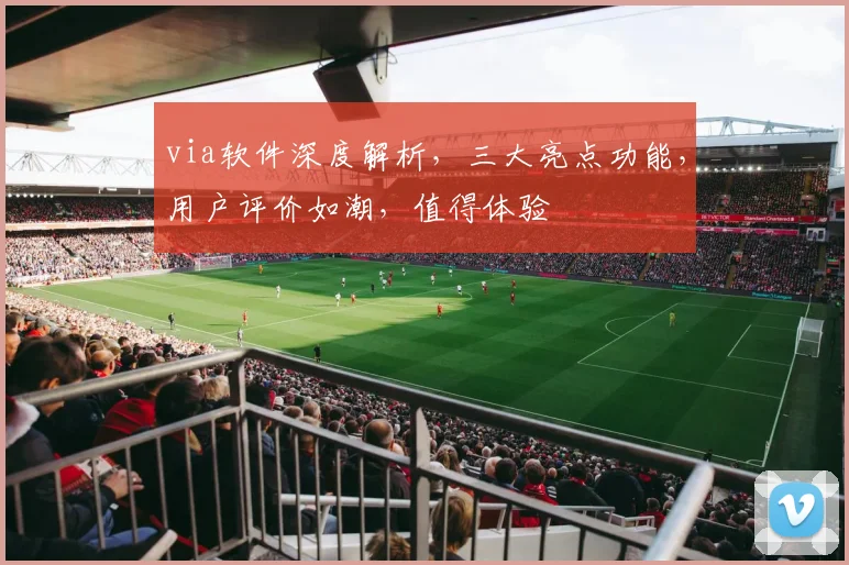 via软件深度解析，三大亮点功能，用户评价如潮，值得体验
