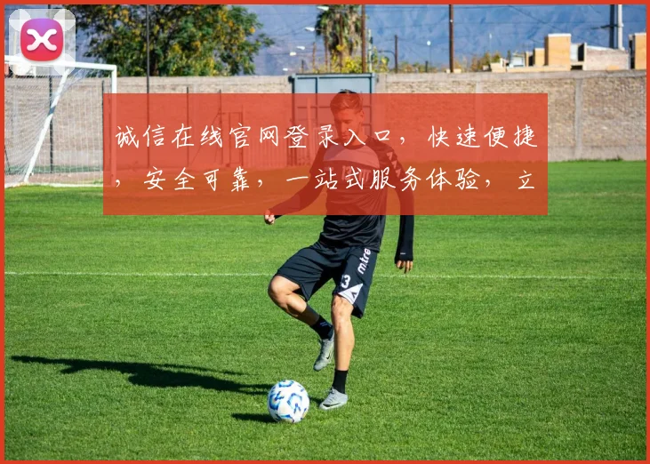 诚信在线官网登录入口，快速便捷，安全可靠，一站式服务体验，立即登录体验